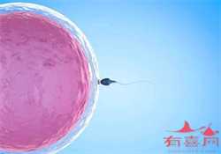 <strong>哈尔滨助孕机构名字,2022年哈尔滨试管婴</strong>
